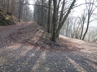Les Lacets du Lac de la Gileppe von Béthane