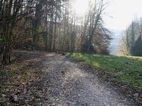 Les Lacets du Lac de la Gileppe von Béthane