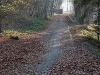 Les Lacets du Lac de la Gileppe von Béthane