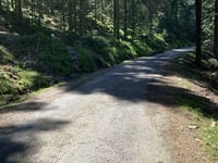 Lac des Corbeaux von La Bresse