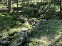 Lac des Corbeaux von La Bresse