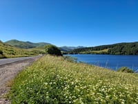 Col de Guery von Orcival