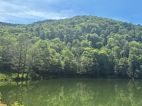 Lachtelweiher von Kirchberg