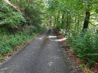 Lachtriská von Rudno nad Hronom