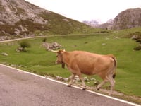 Lacs de Covadonga depuis Cangas de Onis
