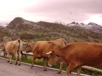 Lacs de Covadonga depuis Cangas de Onis