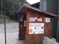 Lago del Narèt from Cavergno