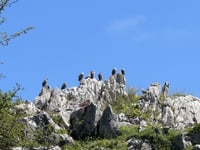 Lagos de Covadonga from Cangas de Onis