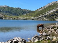 Lagos de Covadonga from Cangas de Onis