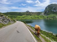 Lacs de Covadonga depuis Cangas de Onis