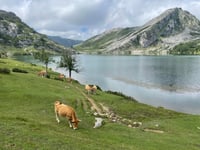 Lacs de Covadonga depuis Cangas de Onis