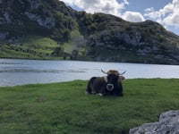 Lagos de Covadonga von Cangas de Onis