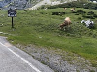 Lacs de Covadonga depuis Cangas de Onis