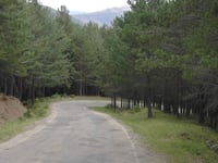 Laguna Negra de Urbión von Vinuesa