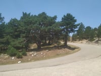 Lagunas de Neila da Quintanar de la Sierra