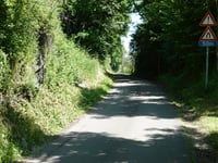 Laiwisse
