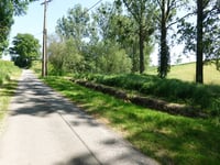 Laiwisse