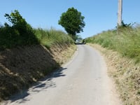 Laiwisse