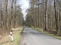 Lamersiefen von Schevenhütte