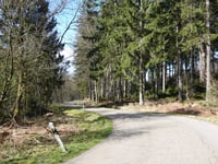 Lamersiefen von Schevenhütte