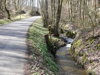 Lamersiefen von Schevenhütte