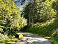 Lançon von Bordères Louron