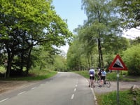 Lange Bosweg