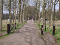 Lange Juffer von Ellecom