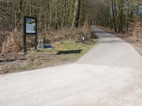Lange Juffer von Ellecom
