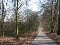 Lange Juffer von Ellecom