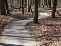Lange Juffer von Ellecom