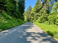 Langenbrand da Neuenbürg