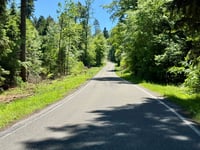 Langenbrand da Neuenbürg