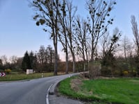 Langenhain vanuit Wallau