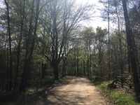 Langeweg von Gortel