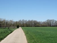 Langeweg
