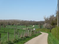 Langeweg