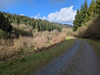Langham Hill / Chargot Wood