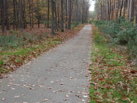 Lanklaarderbos / Litzberg von Terhills Resort
