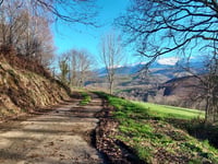 Larpen z Paréac