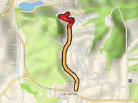 Las Lomas Drive from Las Lomas