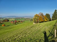 Laubeggstrasse desde Samstagern