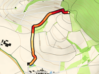Laubrangen da Kammerforst