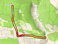 Lauerbachholz z Zellergrundbach