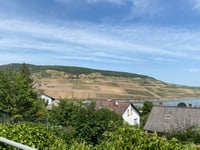 Lauschhütte desde Bingen