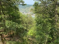 Lauschhütte desde Bingen