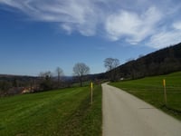 Le Basset von Les Plaines
