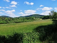Le Bois de Caillou from Le Lonzac
