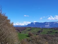 Le Camp de César von Cours