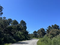 Le Grand Duc / Les Plaines